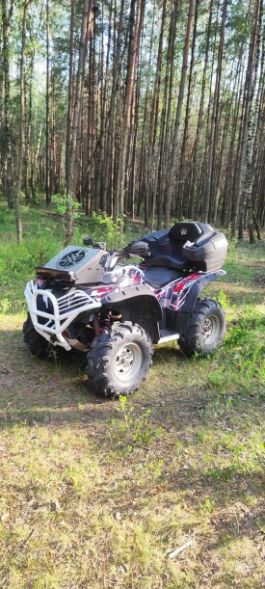 Yamaha Grizzly, 2010 г.