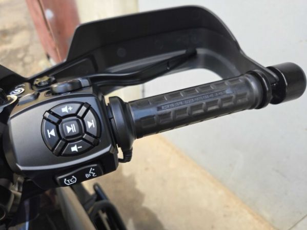 Harley-Davidson Pan America RA1250 special, 2021 г.