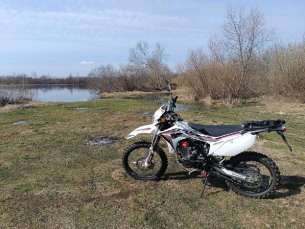 BSE Z6, 2024 г.