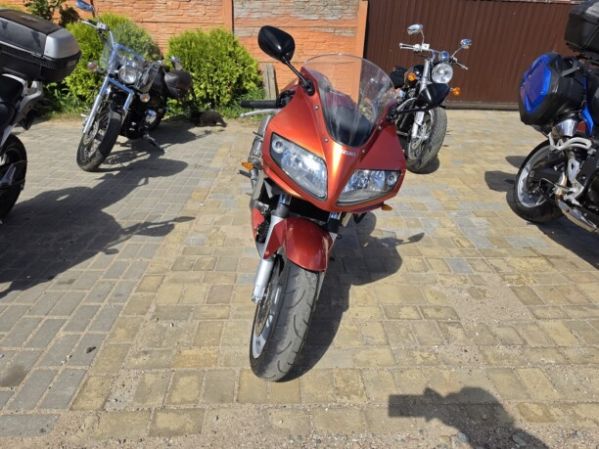 Suzuki SV 1000, 2003 г.