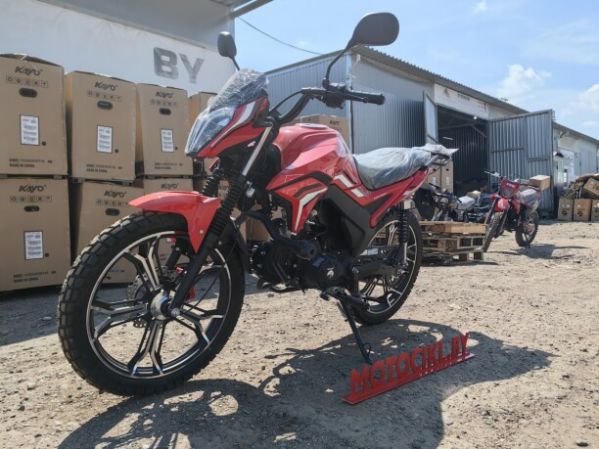 ROCKOT ALPHA DYNAMIC, 2026 г.