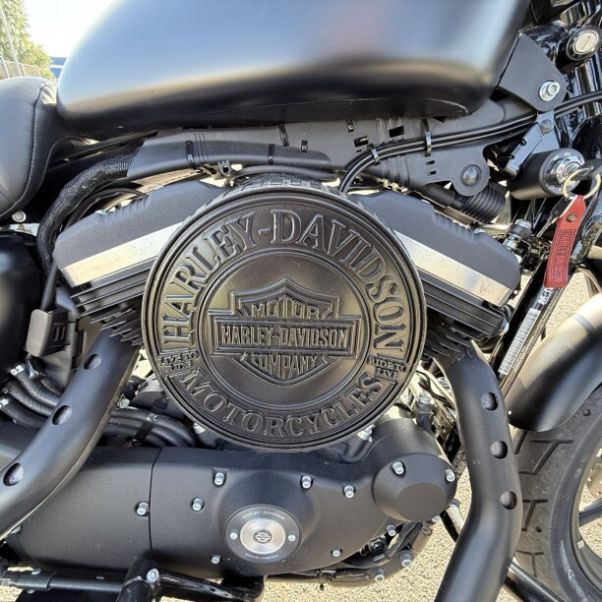 Harley-Davidson Sportster 883 iron, 2022 г.