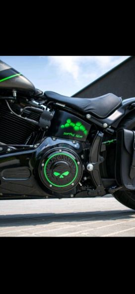 Harley-Davidson Softail Slim, 2013 г.