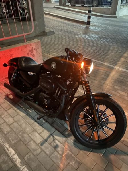Harley-Davidson Sportster, 2008 г.
