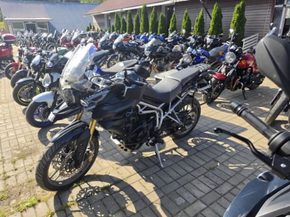 Triumph Tiger, 2010 г.