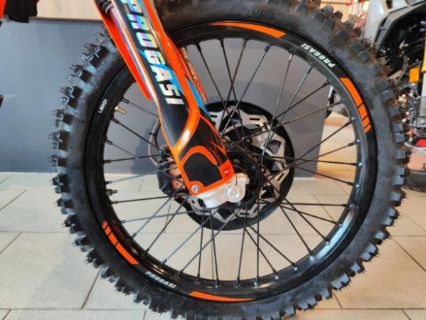 Progasi Endurance 300 EFI, 2025 г.