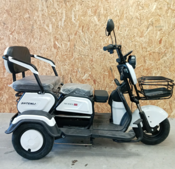 Эксклюзив Редкая модель SHTENLI Model 31 SLA 20Ач 60В, 2026 г.