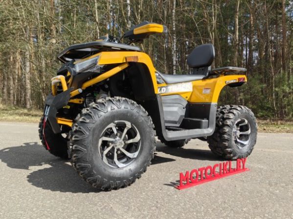 Motoland Wild Track X Plus (VOX250), 2025 г.