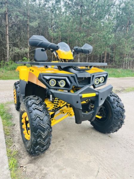 Motoland Wild Track LUX 200, 2026 г.