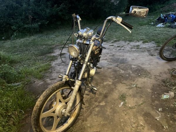 Viper Harley, 2010 г.