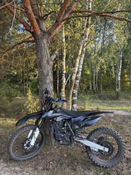 Progasi SUPER MAX 250, 2023 г.