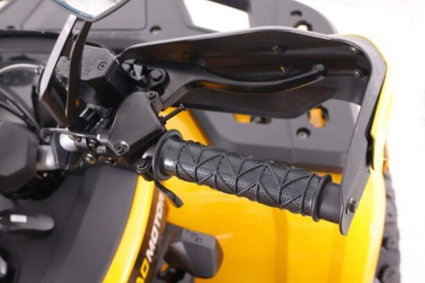 Motoland Wild Track 250 X PLUS, 2026 г.