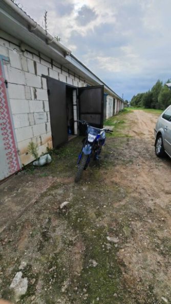 Racer TRX, 2024 г.
