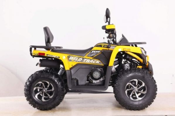 Motoland Wild Track 250 X PLUS, 2026 г.