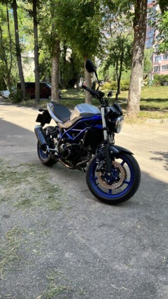 Suzuki SV, 2020 г.