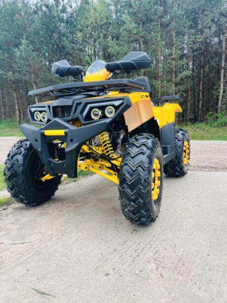 Motoland Wild Track LUX 200, 2026 г.
