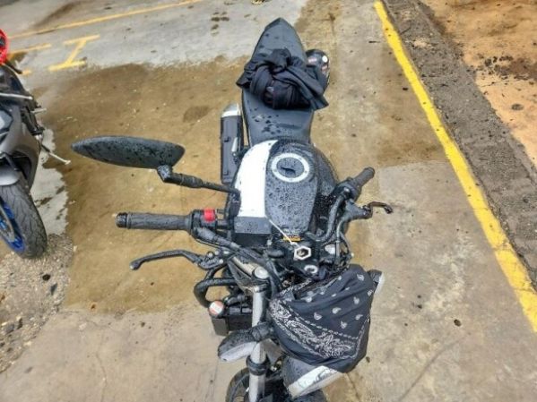 Suzuki SV 650, 2024 г.