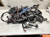 Проводка в сборе Honda GL1800 (2006-2010)