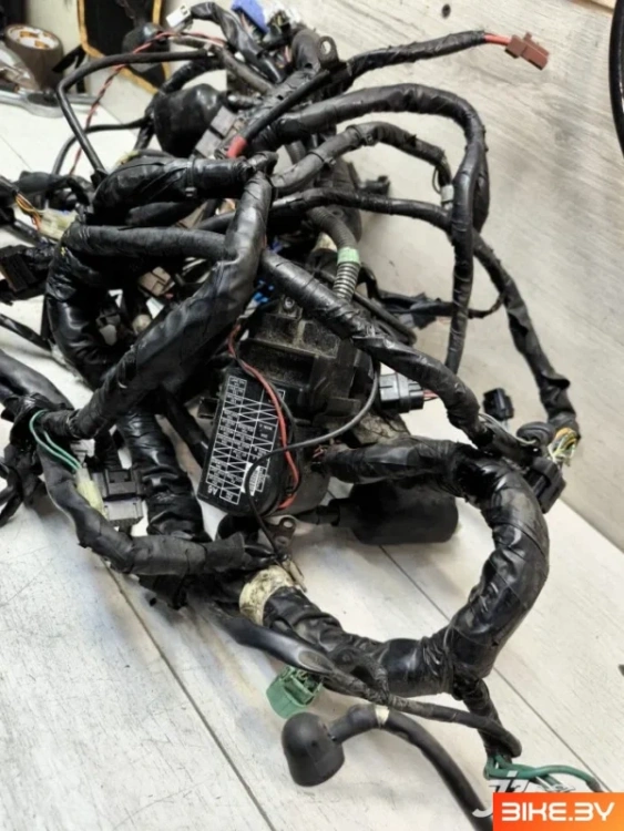 Проводка в сборе Honda GL1800 (2006-2010)