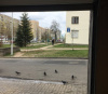 Сдам Гараж, Минск Беды ул., 16,8 м²