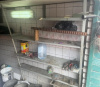 Продам Гараж, Минск Курчатова ул., 3,4 м²