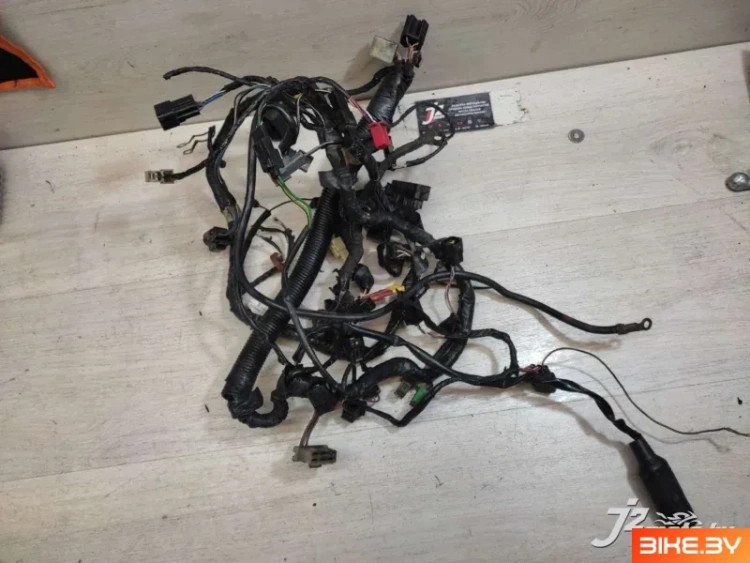 Проводка в сборе Kawasaki ZX-6R (2000-2002)