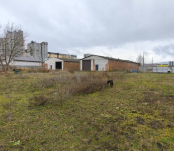 Продам Гараж, Пинск Индустриальная ул., 480 м²