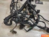 Проводка в сборе Kawasaki ZX-6R (2000-2002)