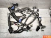 Проводка Honda CBR1100XX (1999-2000)