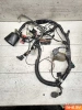 Проводка в сборе Honda CBR600F4i