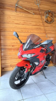 Kawasaki Ninja Ex, 2021 г.