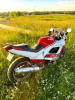 Suzuki Katana GXR, 1995 г.