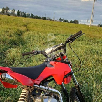 Motoland 125 SX 125 E, 2024 г.