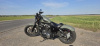 Harley-Davidson Sportster XL883N, 2021 г.