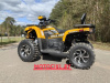 Motoland Wild Track X Plus (VOX250), 2025 г.