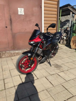 Kawasaki Z SE, 2024 г.