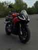 Aprilia Tuono 660, 2023 г.