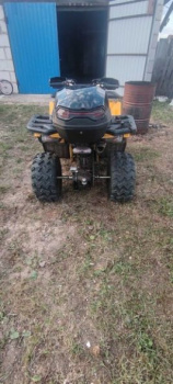 Motoland 200 Wild Track, 2024 г.