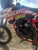 Progasi SUPER MAX 300, 2025 г.