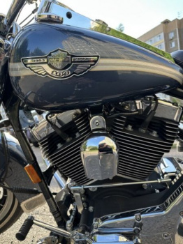 Harley-Davidson Road King 100th Anniversary, 2003 г.
