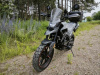 ROCKOT HOUND 250 2.0, 2026 г.