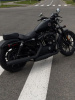 Harley-Davidson Sportster, 2019 г.