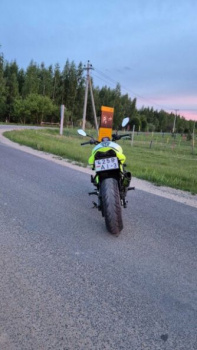 Kawasaki Z, 2004 г.