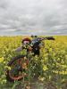 Эксклюзив Редкая модель 250 cc, 2025 г.
