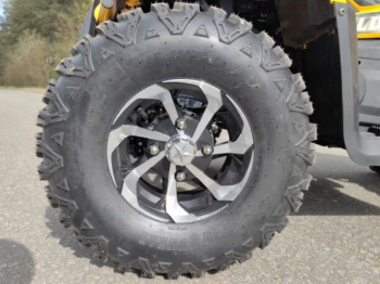 Motoland Wild Track X Plus (VOX250), 2025 г.