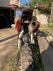 YCF F150 sp1, 2023 г.