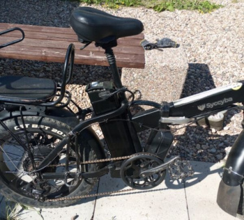 Suzuki Ran, 2024 г.