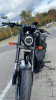 Victory Hammer, 2016 г.