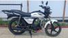 Racer Alpha RC50, 2023 г.