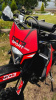 Regulmoto Sport 003 PR PRO, 2025 г.
